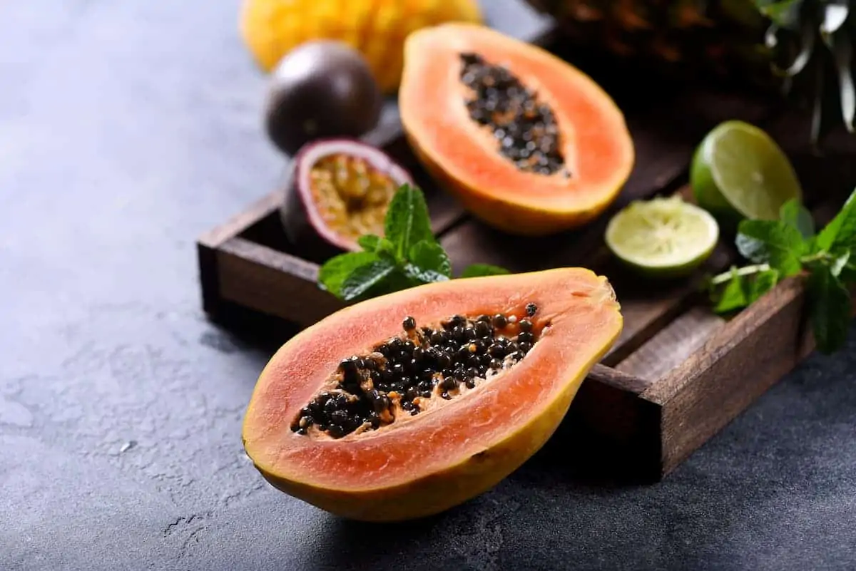 Evde Papaya Yetiştirme